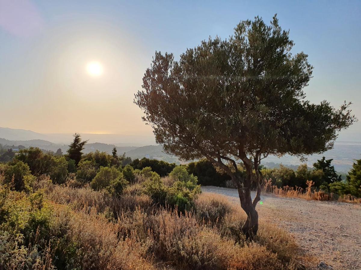 Orea Ellas Kos - Deluxe Residences Lagoudi Zia Luaran gambar